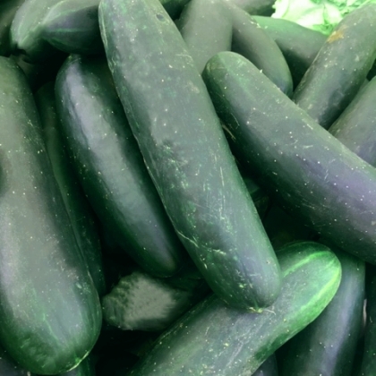 Pepinos Ensalada x Unidad.