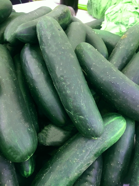 Pepinos Ensalada x Unidad.