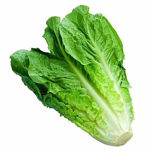 Lechuga Costina x Unidad.