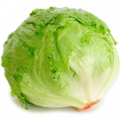 Lechuga Escarola x Unidad.